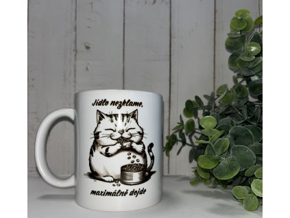 Hrnek - Jídlo nezklame 330 ml