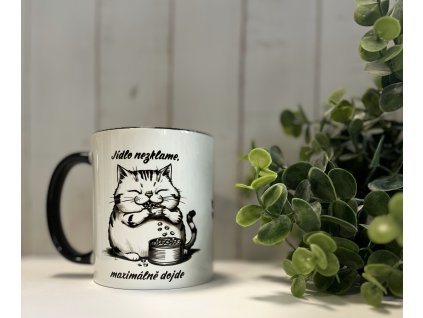 Hrnek - Jídlo nezklame 325 ml