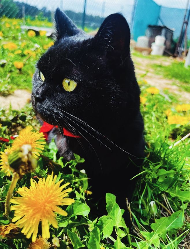 Přeji všem ženám krásné MDŽ! 🌼💐🌻 #mdz