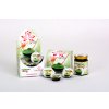 4626 matcha honey skupinove foto