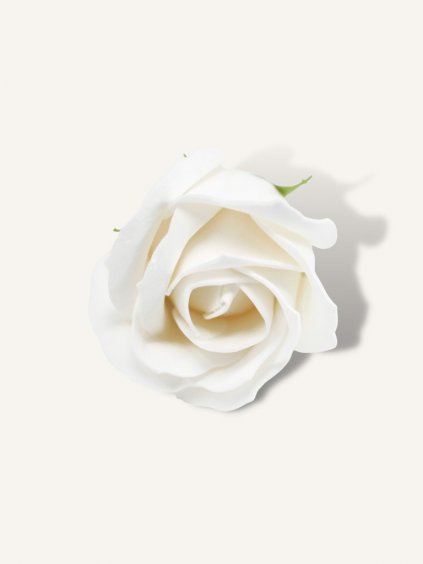Mýdlová růže bílá - dárkové krabičky
