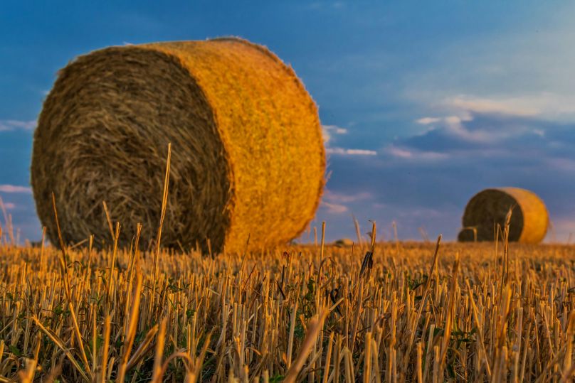 10 tipů, jak si prodloužit prázdninovou náladu i po nástupu do školy a práce