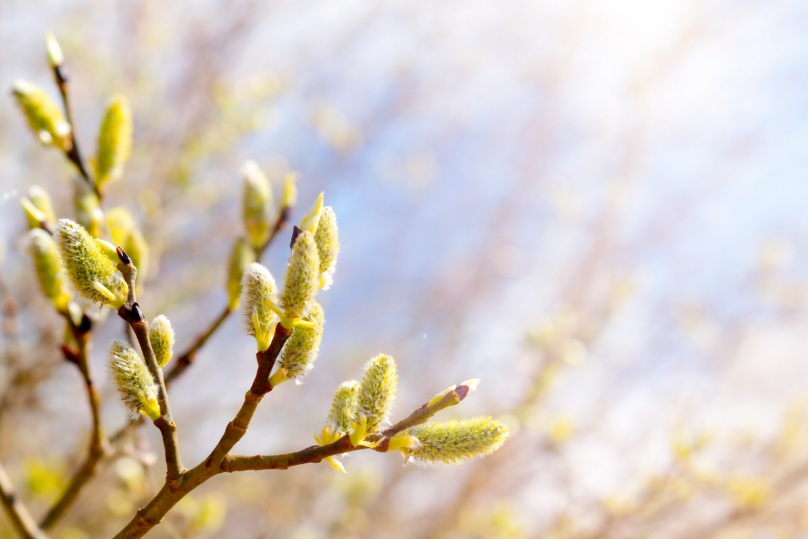 Významné a vtipné mezinárodní dny v březnu