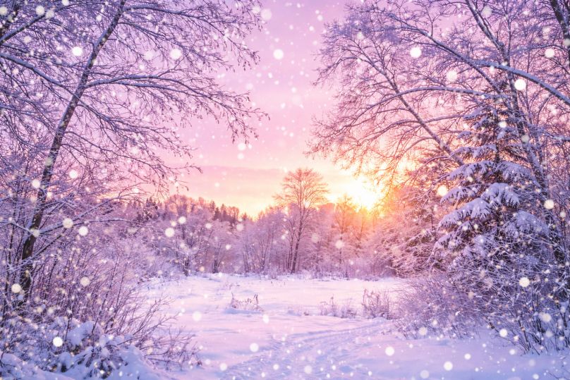 Jak přežít leden bez deprese