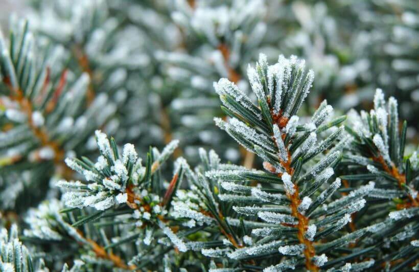 Významné a vtipné mezinárodní dny v prosinci