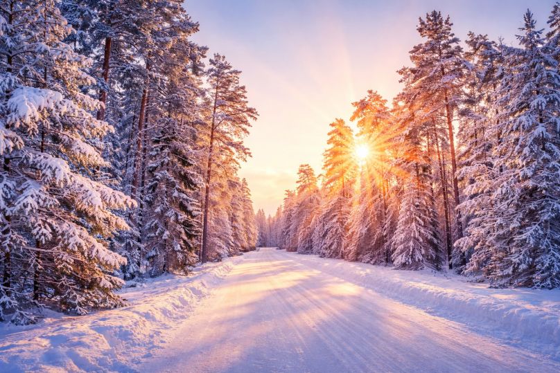 Významné a vtipné mezinárodní dny v lednu