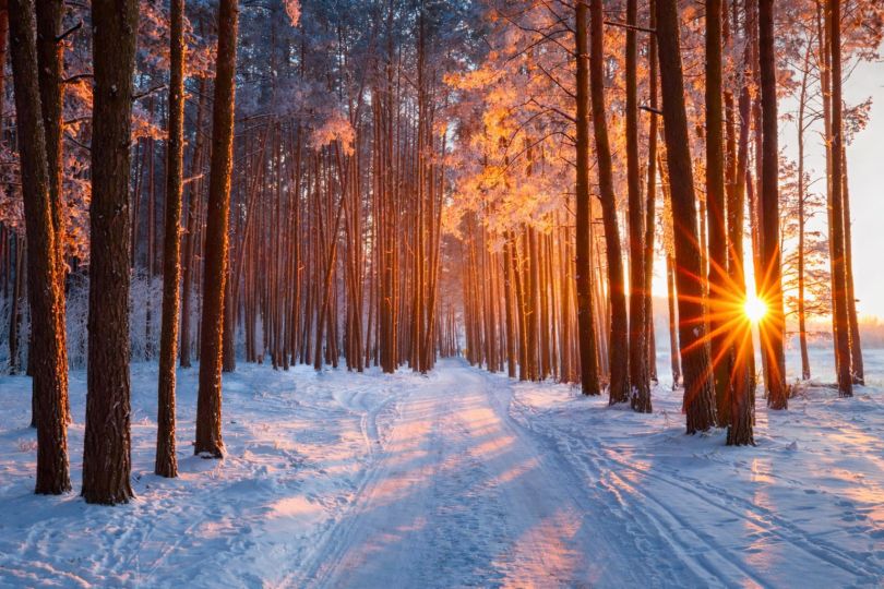 Významné a vtipné mezinárodní dny v únoru