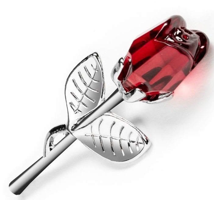 Divoká růže Charlotte