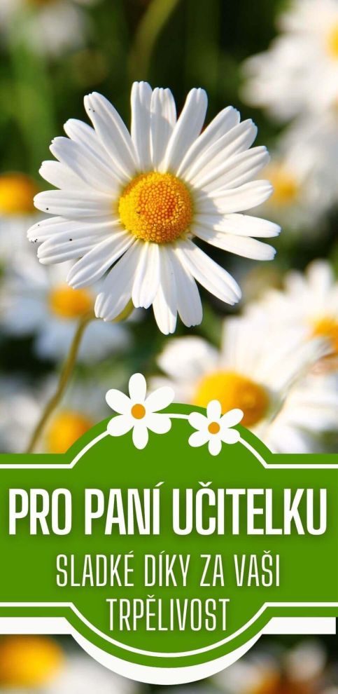 Čokoláda pro učitelku - Sladké díky