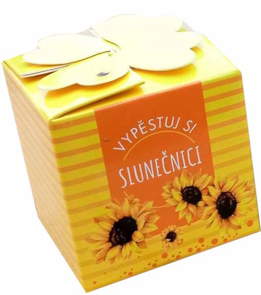 Vypěstuj si Slunečnice CZ