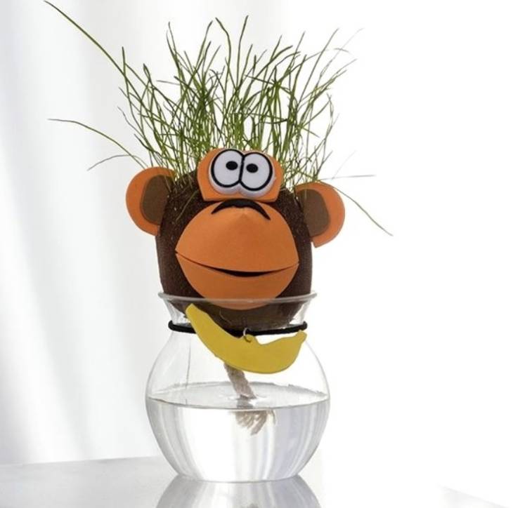 Zvířátko s rostoucími vlásky