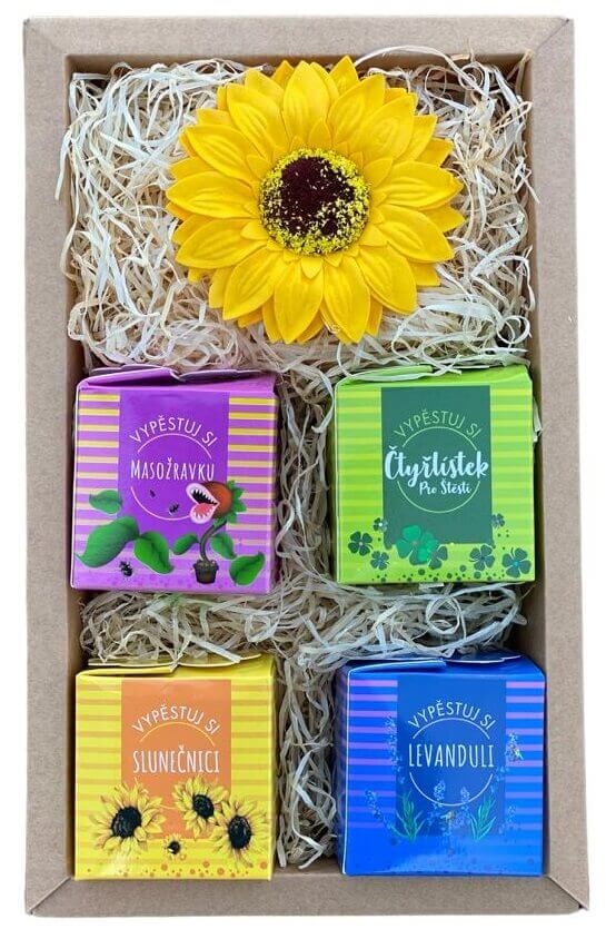 Dárkáč Vypěstuj si sám