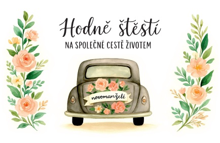 Průkaz Hodně štěstí na společné cestě životem