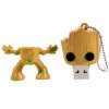 USB flash disk Groot 32 GB