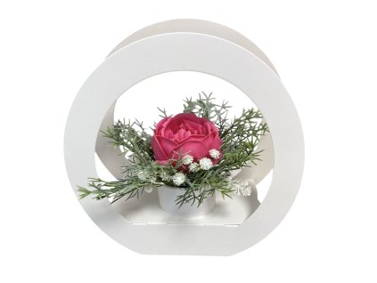 Photoroom 20251029 151805