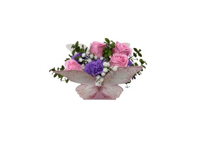 Photoroom 20260126 085429