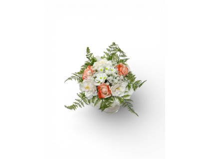 Photoroom 20260119 101549