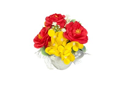 Photoroom 20260129 153036