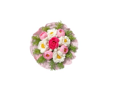 Photoroom 20260213 154901