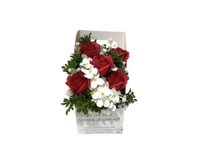 Photoroom 20260227 085823