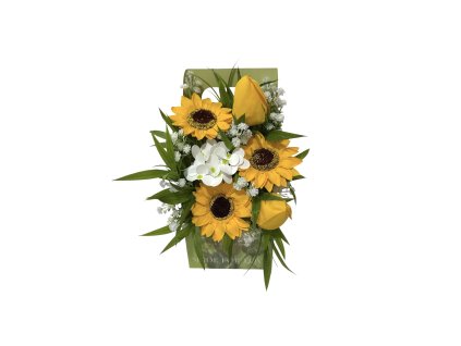 Photoroom 20260227 090327