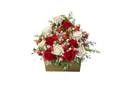 Photoroom 20260305 175044