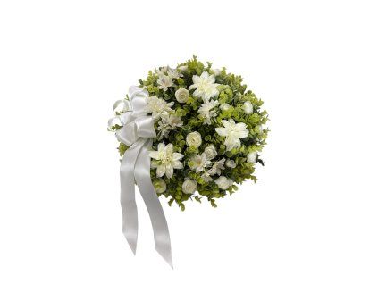 Photoroom 20260325 104231 2