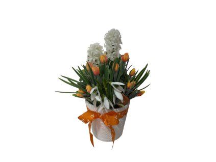 Photoroom 20260325 083143