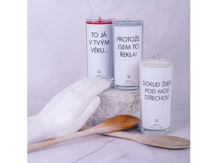 IRONIC CANDLES -  sójová svíčka/ DOKUD ŽIJEŠ POD MOJÍ STŘECHOU