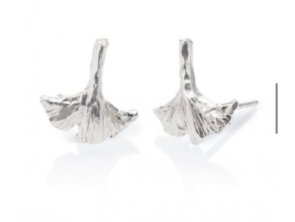 La Dominique Náušnice GI malé stříbrné