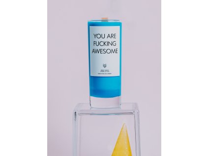 you are awesome
