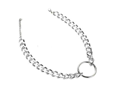 CHOKER / náhrdelník - stříbrný řetěz s kruhem