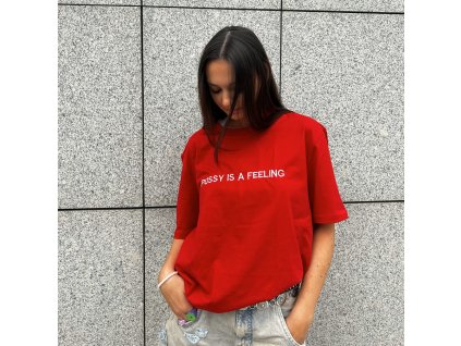Red pussyisafeeling tshirt identititiesJPG2 900x