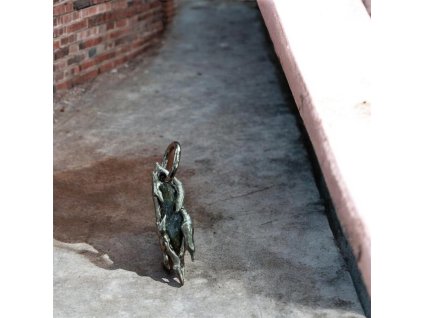 Photoroom 20260220 173546