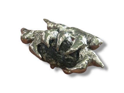 Photoroom 20260228 124913