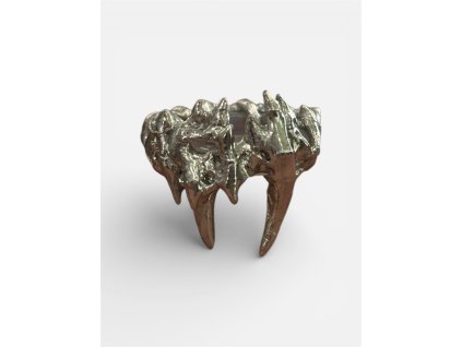 Photoroom 20260227 160611