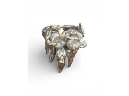 Photoroom 20260227 160158