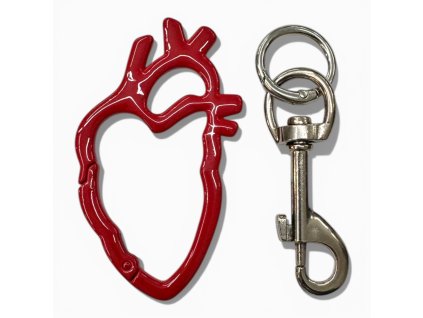 Photoroom 20260313 143053