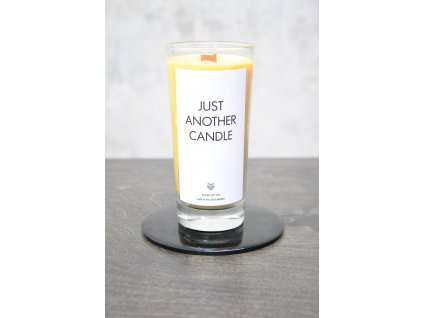 Things by E. -  sójová svíčka/ IRONIC CANDLES - JUST ANOTHER CANDLE