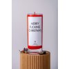 IRONIC CANDLES - sójová svíčka/ MERRY FUCKING CHRISTMASS