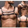 Unisex harness / postroj na hrudník a ramena / černo-stříbrný