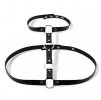 Harness / postroj s chokerem - tři kruhy / koženka