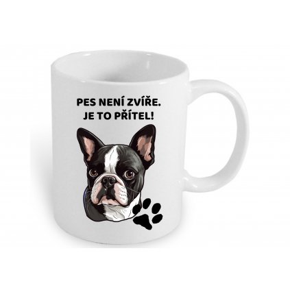 PES NENÍ ZVÍŘE. JE TO PŘÍTEL! (9)