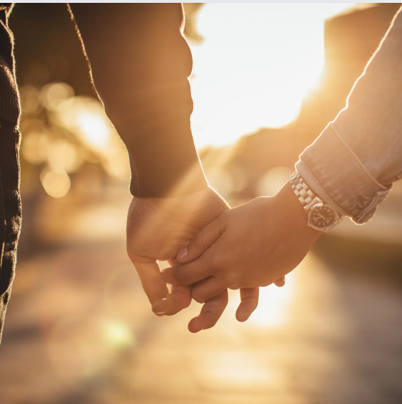 partneri