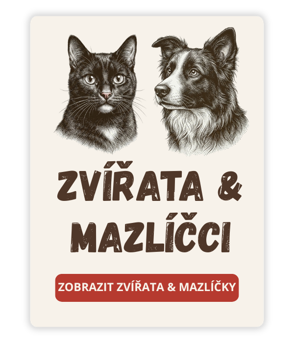 Mazlíčci magnety