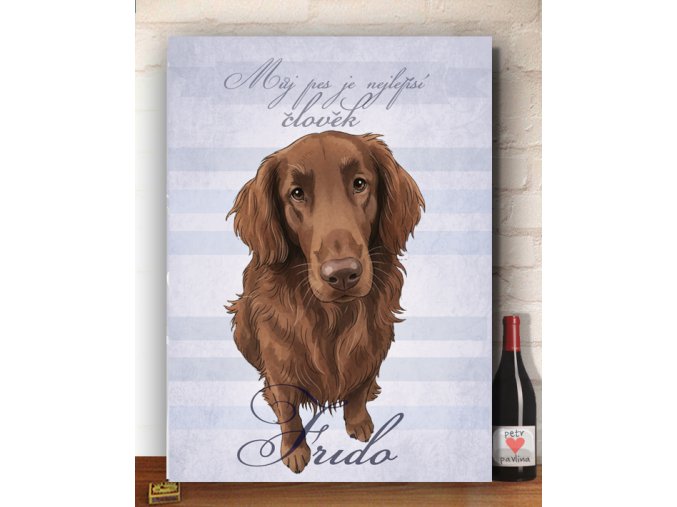 dárek k narozeninám