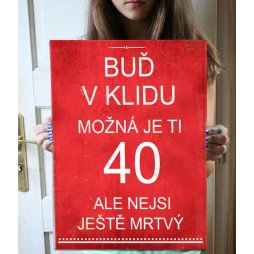 Dárek ke 40. narozeninám