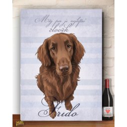 dárek k narozeninám