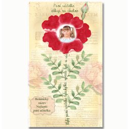 dárek pro paní učitelku