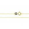 Očkový řetízek ze žlutého zlata Anker I. (Varianta: Délka 38 cm)